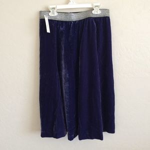 Anthropologie Maeve Blue Formal Velvet Skirt 8